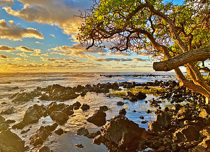 Send your best photos from Maui County to mauiphotos@mauinews.com for a chance to see them featured on our website and in our weekly print edition.